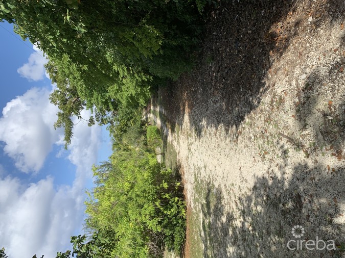 MR. V'S POSTO AL SOLE