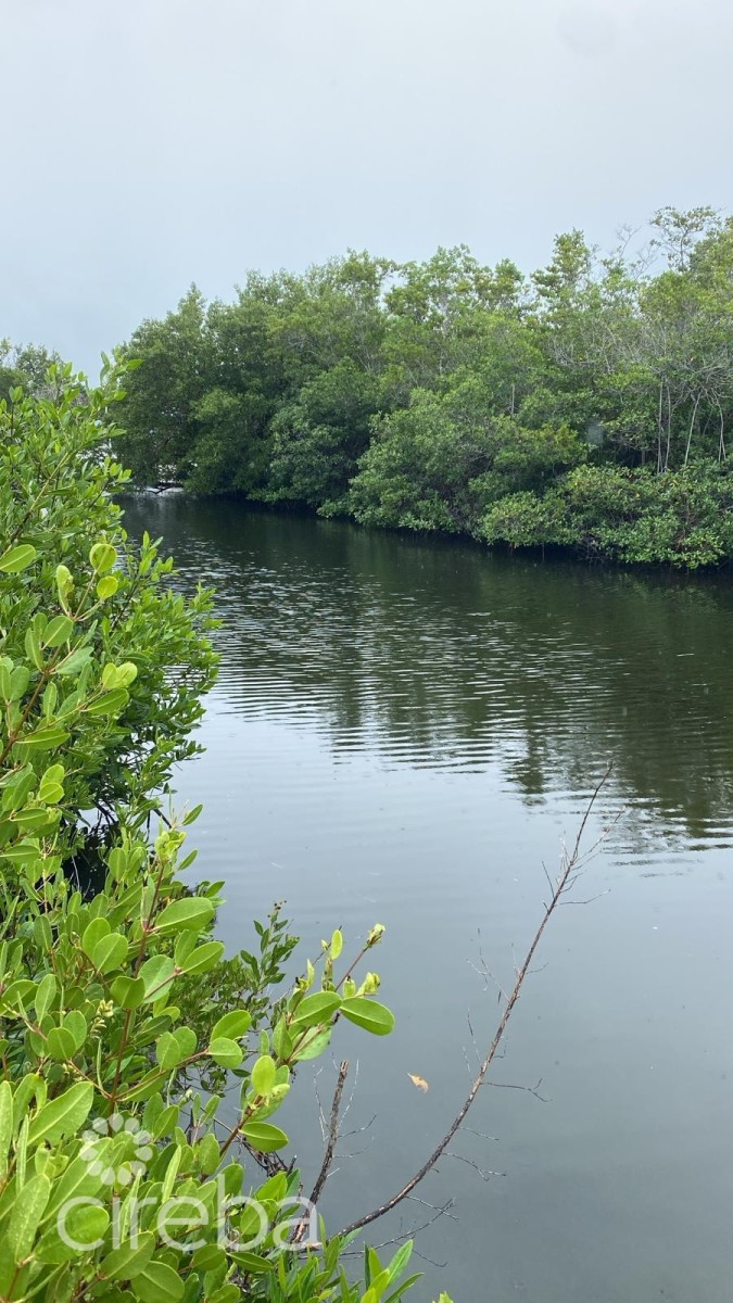 NORTH SOUND ESTATES CANAL LOT