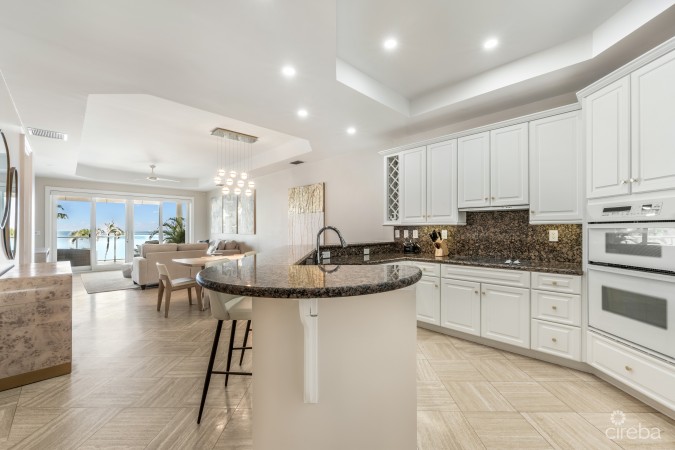 THE PINNACLE VILLA 20 WITH GARAGE