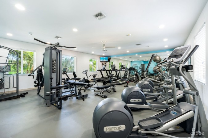 THE RENAISSANCE VILLA 25 - SEVEN MILE BEACH