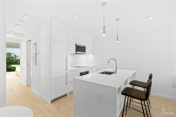 BEACHFRONT CONDO ISLAND PINE VILLAS