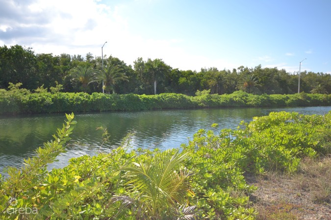 MANGROVE POINT CANALFRONT LOT