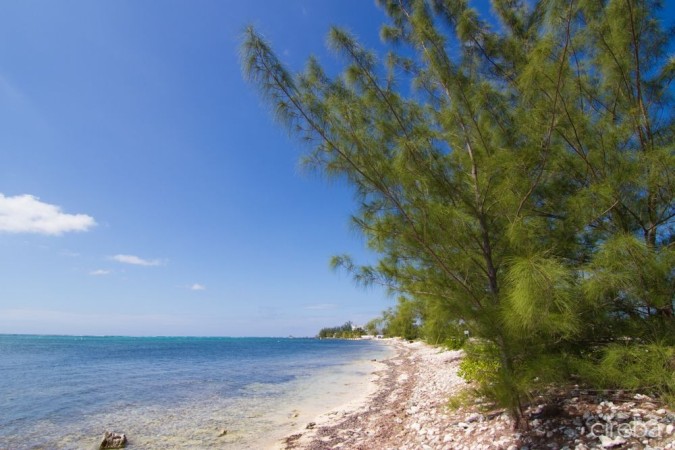 SOUTH BAY ESTATES - 4 BED TOWNHOME WITH EXCEPTIONAL FLOOR PLAN