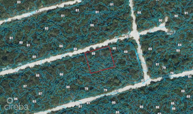 CAYMAN BRAC BLUFF LOT 90' ELEVATION