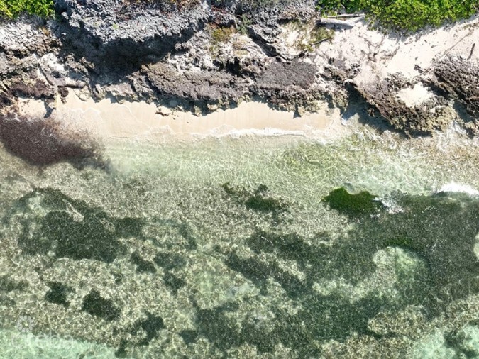NORTH EAST COAST OCEAN FRONT LAND