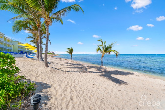 CASTAWAY COVE BEACHFRONT - 2 BED, 2 BATH, A AND B LOCK OFF UNIT