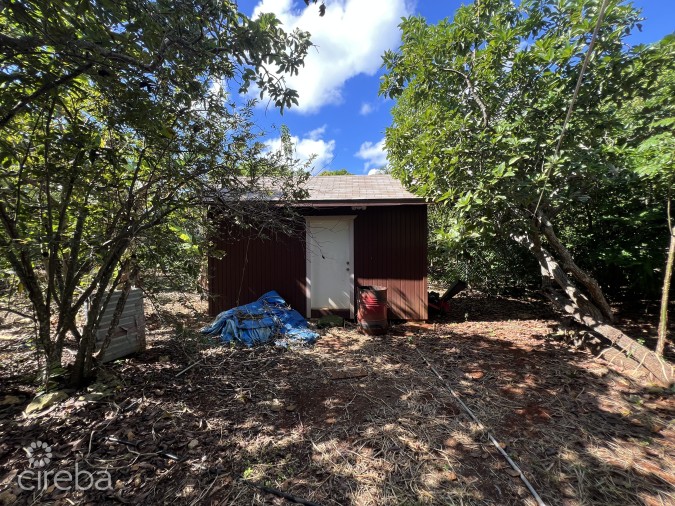 RARE 1-ACRE FARM PARADISE IN UP-AND-COMING HIGH ROCK - EAST END'S HOTTEST FARMING LOCATION