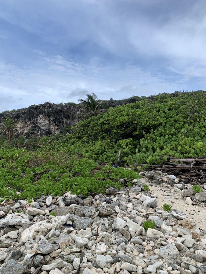 SOON COME - SOUTH SIDE EAST OCEAN FRONT LAND