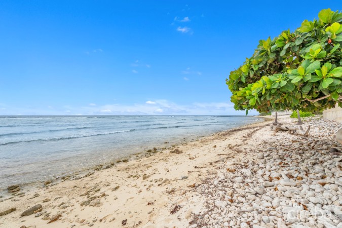 OLD PROSPECT GROVES - OCEANFRONT RESIDENCE #11