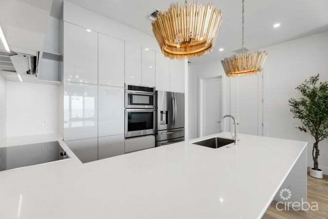AURA PENTHOUSE #404