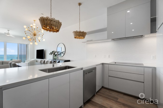 AURA PENTHOUSE #404