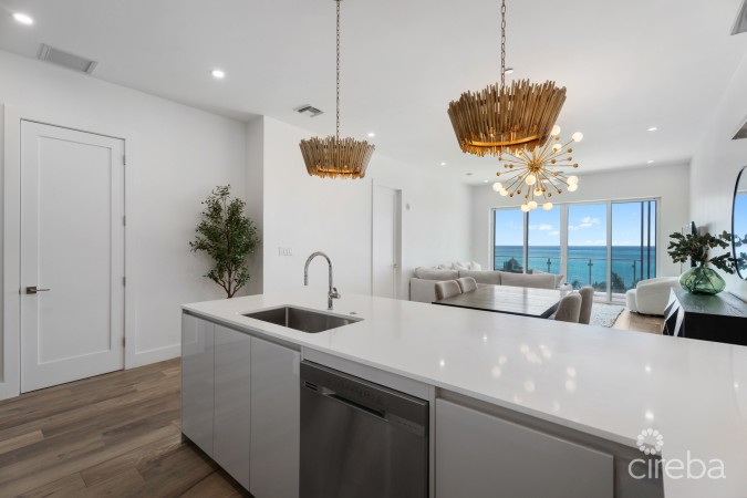 AURA PENTHOUSE #404