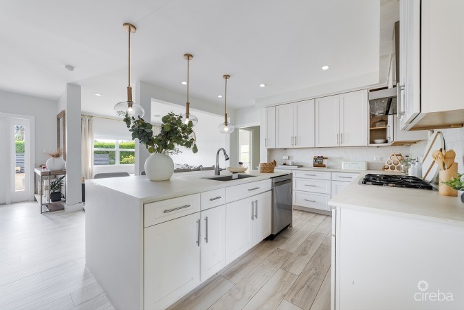 ELEVATED, 6-BEDROOM  SINGLE FAMILY HOME ON A MASSIVE PARCEL