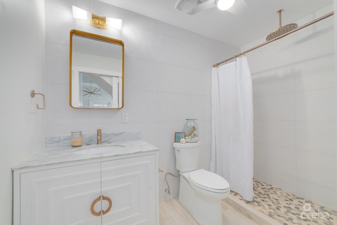 ELEVATED, 6-BEDROOM  SINGLE FAMILY HOME ON A MASSIVE PARCEL