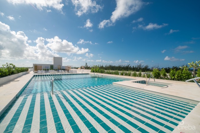 SOLACE AT THE GROVE TOO | SEVEN MILE CORRIDOR