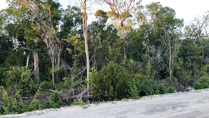 CAYMAN BRAC CENTRAL LAND