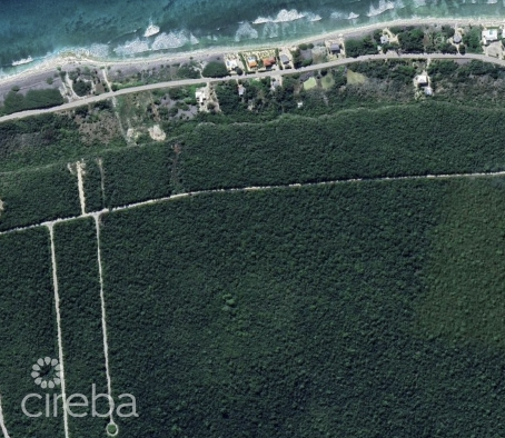 PREMIUM ELEVATED LOT IN THE HEART OF CAYMAN BRAC
