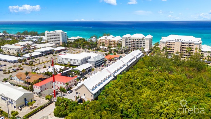 PARK PLACE 33, SEVEN MILE CORRIDOR