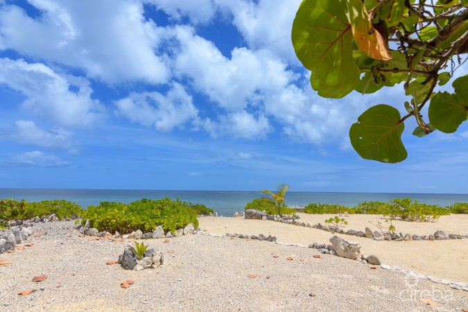 PALM BREEZES