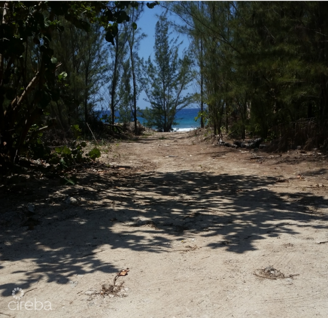 SPOTTS OCEANFRONT  LAND