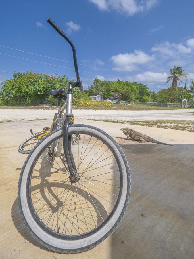 LITTLE CAYMAN LAND 2.5 ACRES - BY AIRPORT