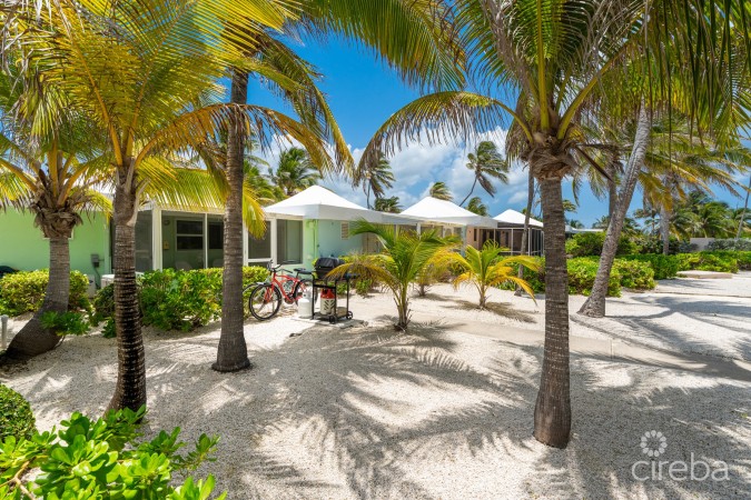 CAYMAN KAI SEA LODGE #13 BEACHFRONT CONDO WITH IMPRESSIVE RENTAL HISTORY