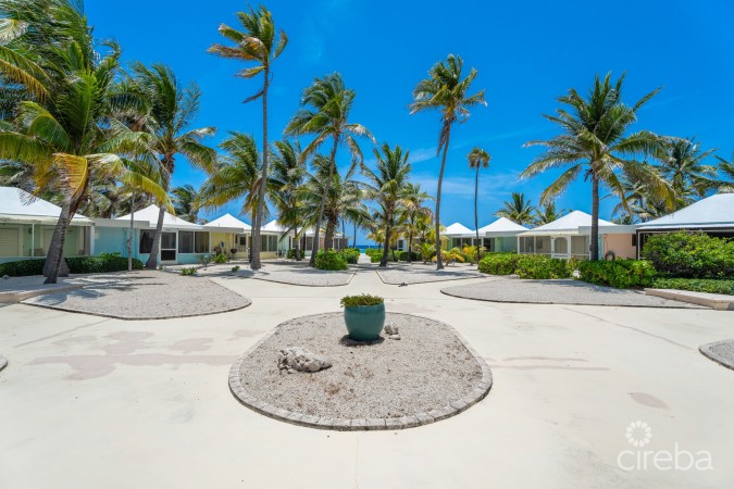 CAYMAN KAI SEA LODGE #13 BEACHFRONT CONDO WITH IMPRESSIVE RENTAL HISTORY