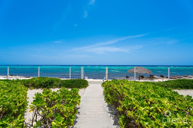 CAYMAN KAI SEA LODGE #13 BEACHFRONT CONDO WITH IMPRESSIVE RENTAL HISTORY