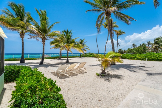 CAYMAN KAI SEA LODGE #13 BEACHFRONT CONDO WITH IMPRESSIVE RENTAL HISTORY