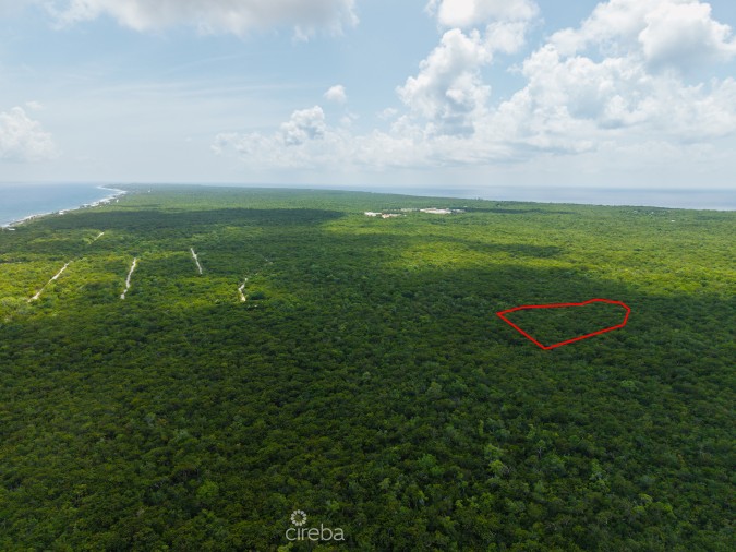 2.5 ACRES - CAYMAN BRAC BLUFF