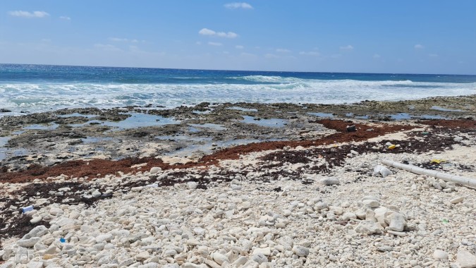 CAYMAN BRAC EAST OCEANFRONT 1.25 ACRES