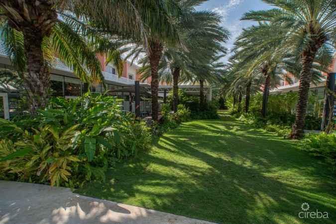 VILLA ZEN | CONTEMPORARY ISLAND LIVING AT THE GROVE