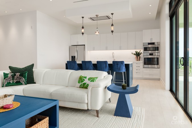 OLEA 3 BEDROOM PENTHOUSE