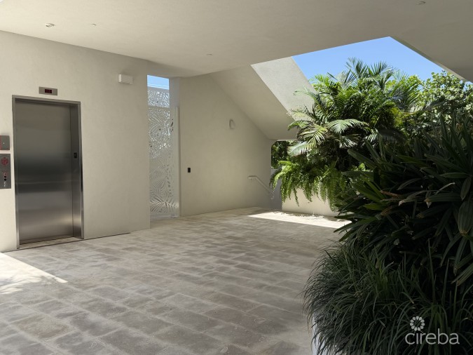 GROVE TOO  COMMERCIAL OFFICE SPACE - RARE CORNER LOCATION