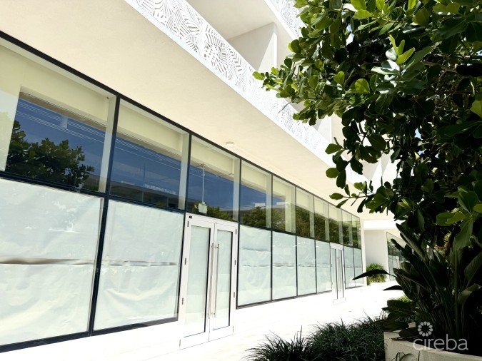 GROVE TOO  COMMERCIAL OFFICE SPACE - RARE CORNER LOCATION