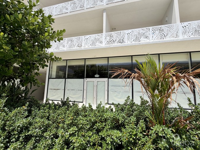 GROVE TOO  COMMERCIAL OFFICE SPACE - RARE CORNER LOCATION