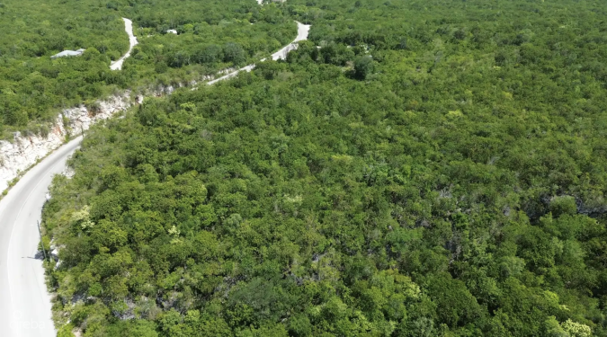 BLUFF EDGE AT THE CREEK