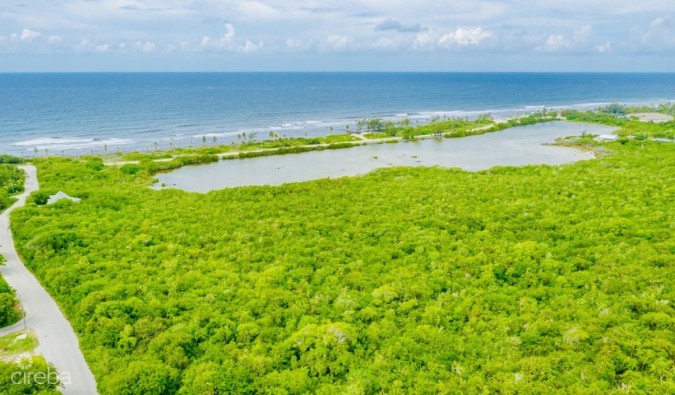 ALEXANDER GROVE SUBDIVISION - CAYMAN BRAC - POND LOT 3