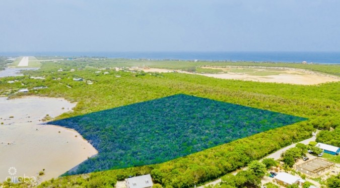 ALEXANDER GROVE SUBDIVISION - CAYMAN BRAC - LOT 3