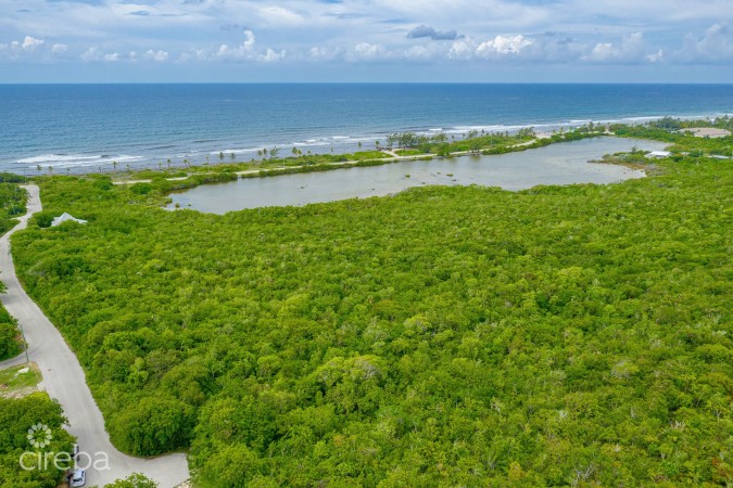 ALEXANDER GROVE SUBDIVISION - CAYMAN BRAC - LOT1