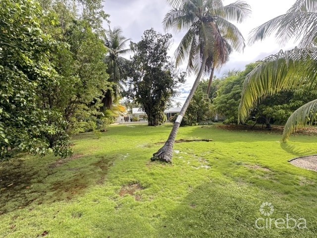 RARE DOUBLE-LOT OASIS BUNGALOW  WITH POOL IN SNUG HARBOUR