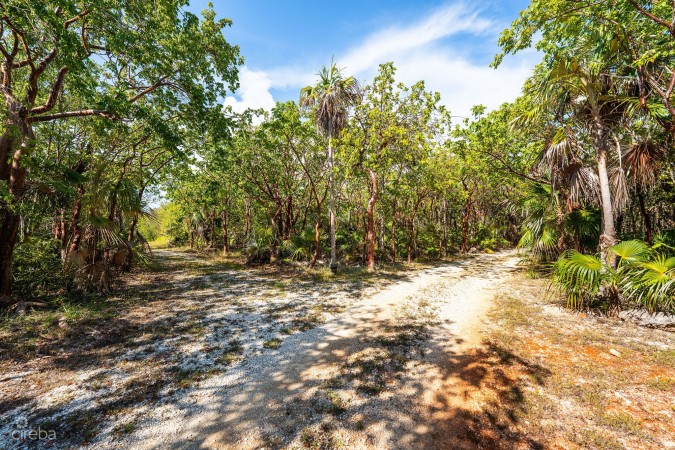 CAYMAN ENCHANTED FOREST | 9.93-ACRE PARCEL IN EAST END
