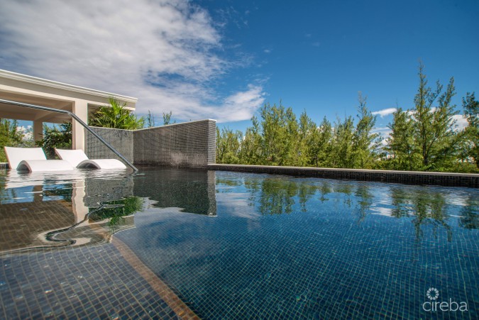 STUDIO PARADISUM AT THE GROVE