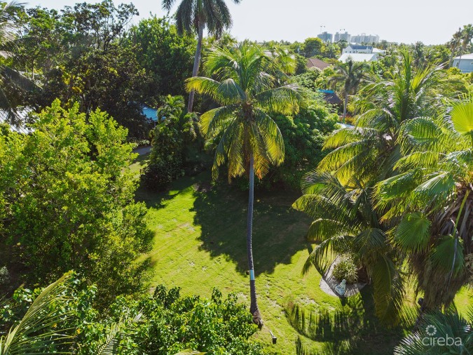 RARE DOUBLE-LOT OASIS BUNGALOW  WITH POOL IN SNUG HARBOUR