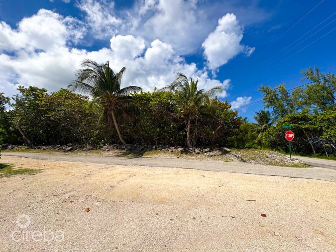 CAYMAN BRAC CORNER LOT WITH OCEAN VIEW